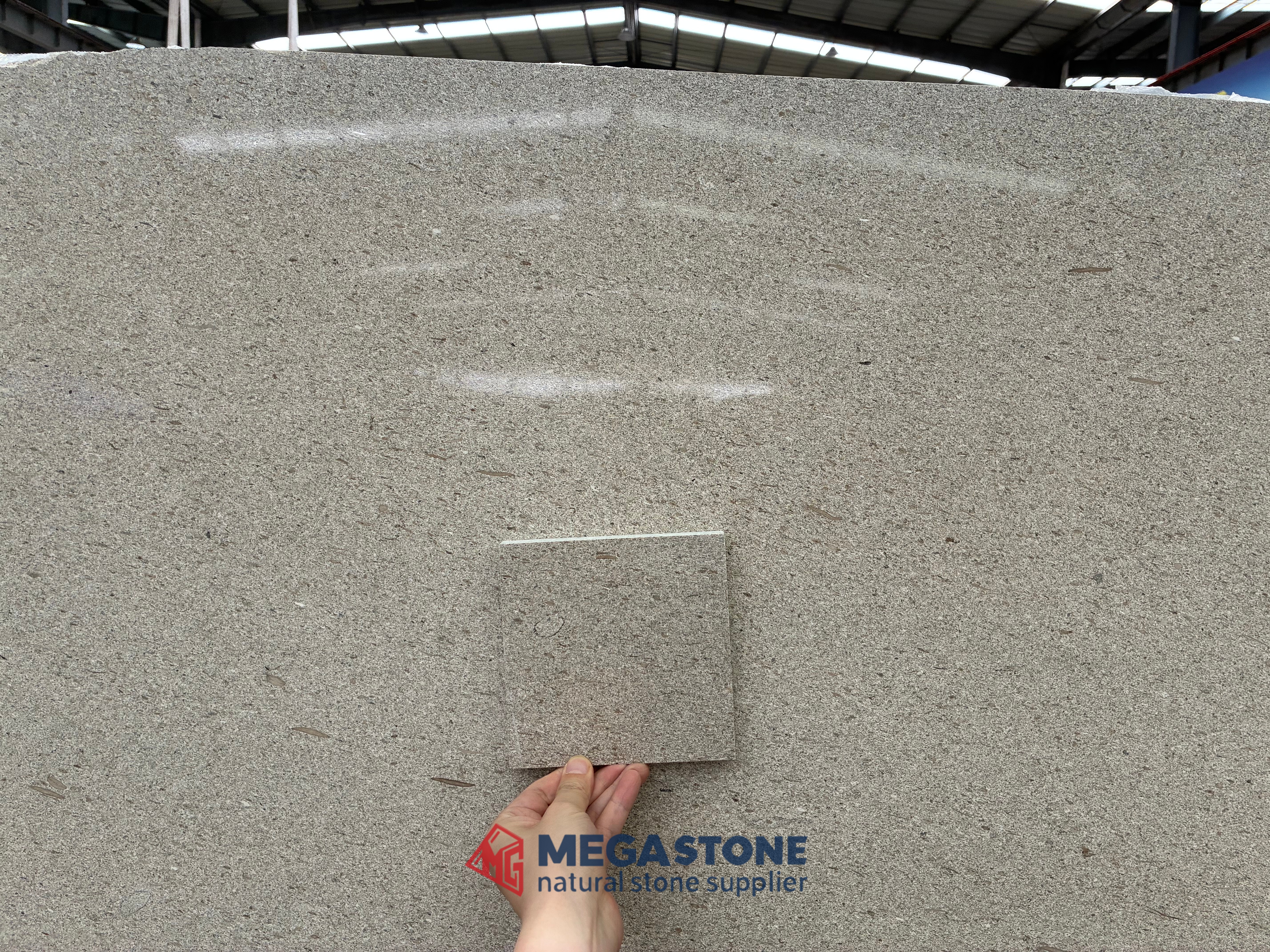 Grey Moca Limestone Slabs