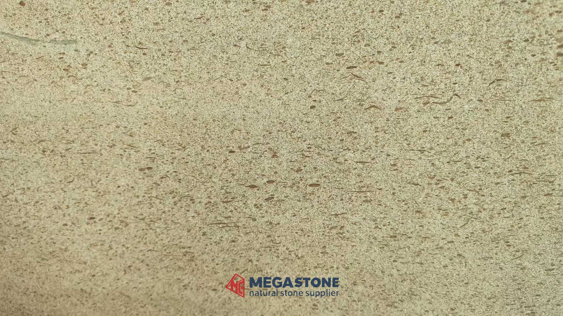 Crema Mocha Limestone Gold Moca Limestone