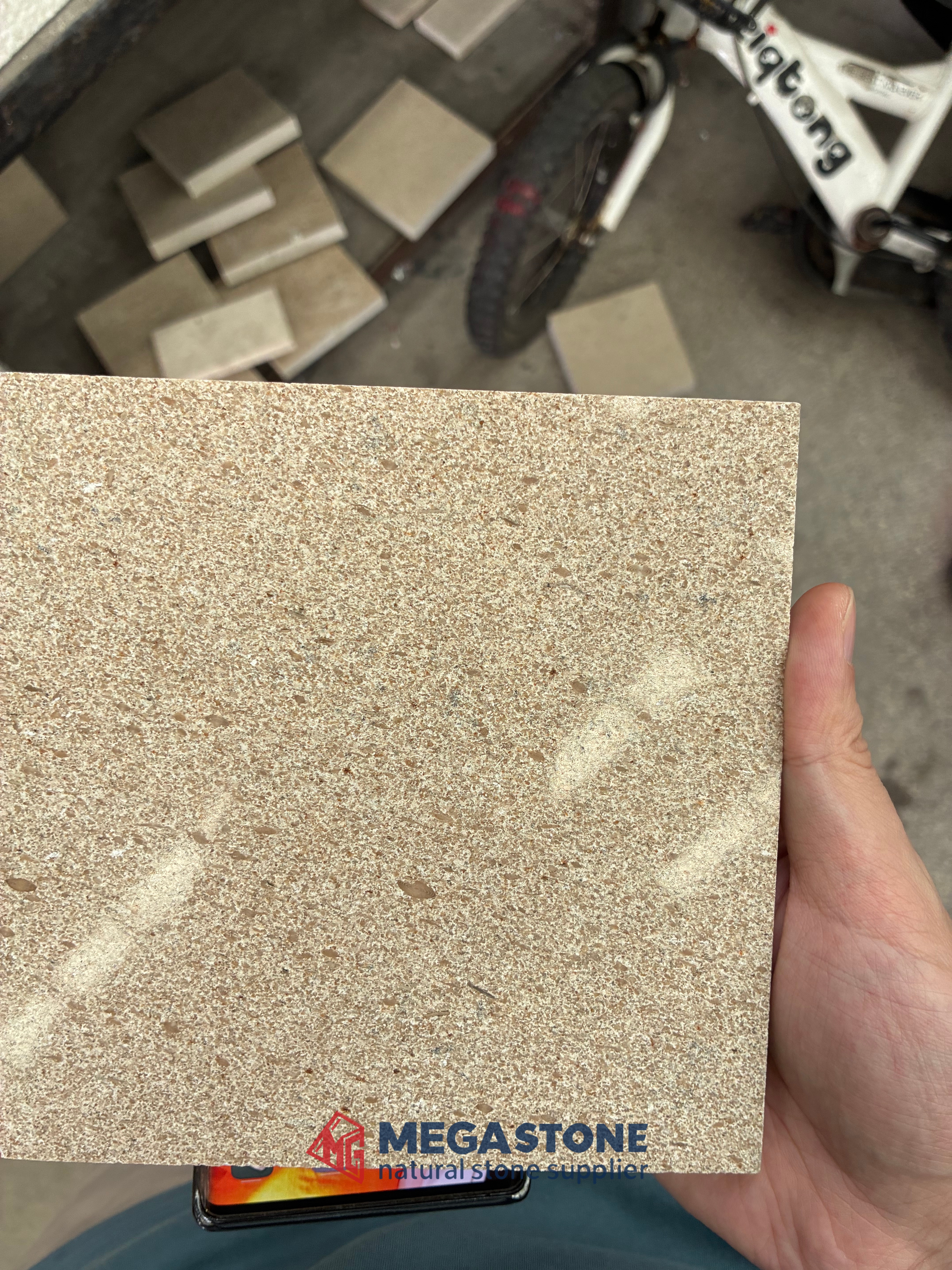 Crema Mocha Limestone Gold Moca Limestone