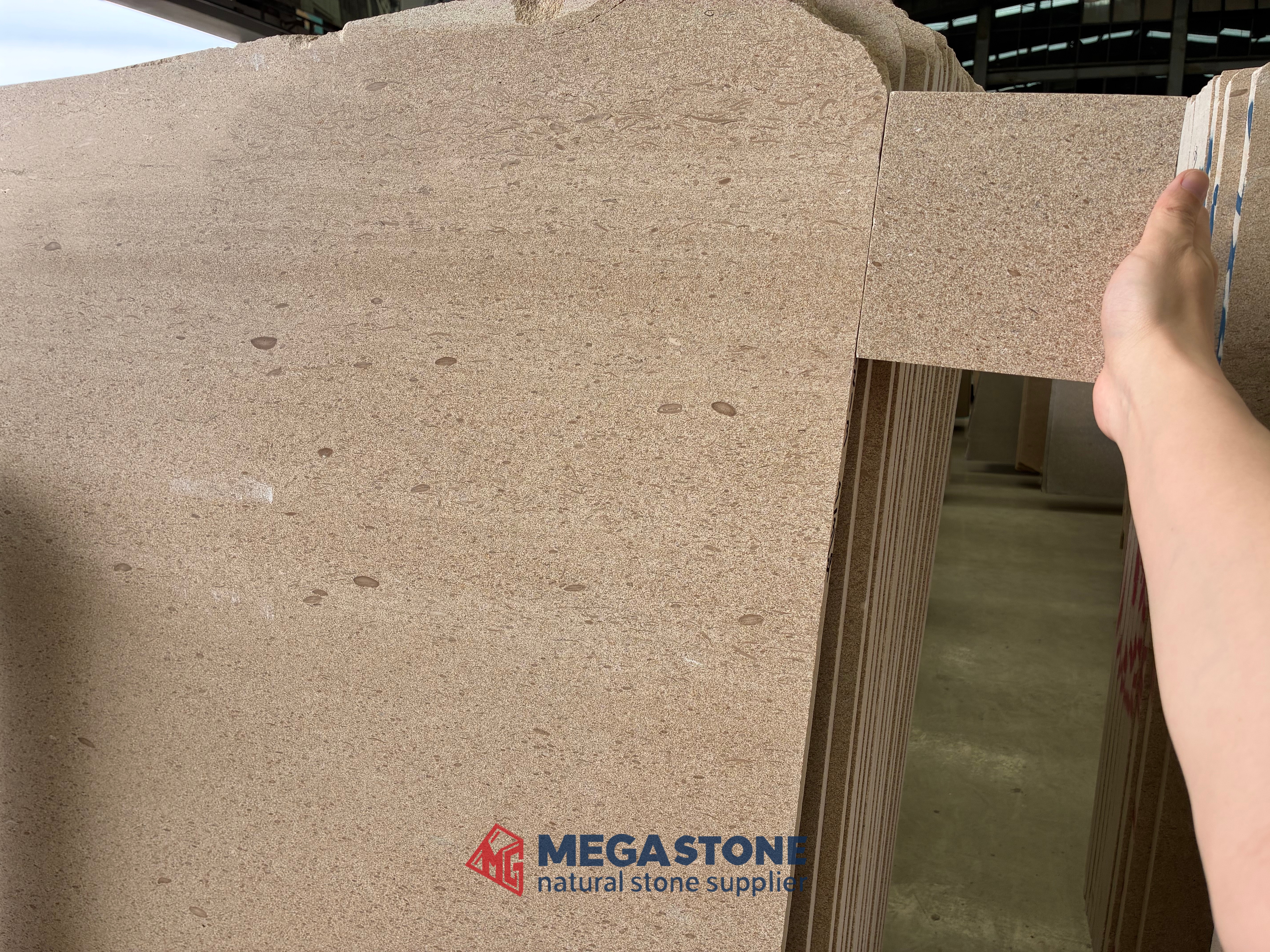 Crema Mocha Limestone Gold Moca Limestone