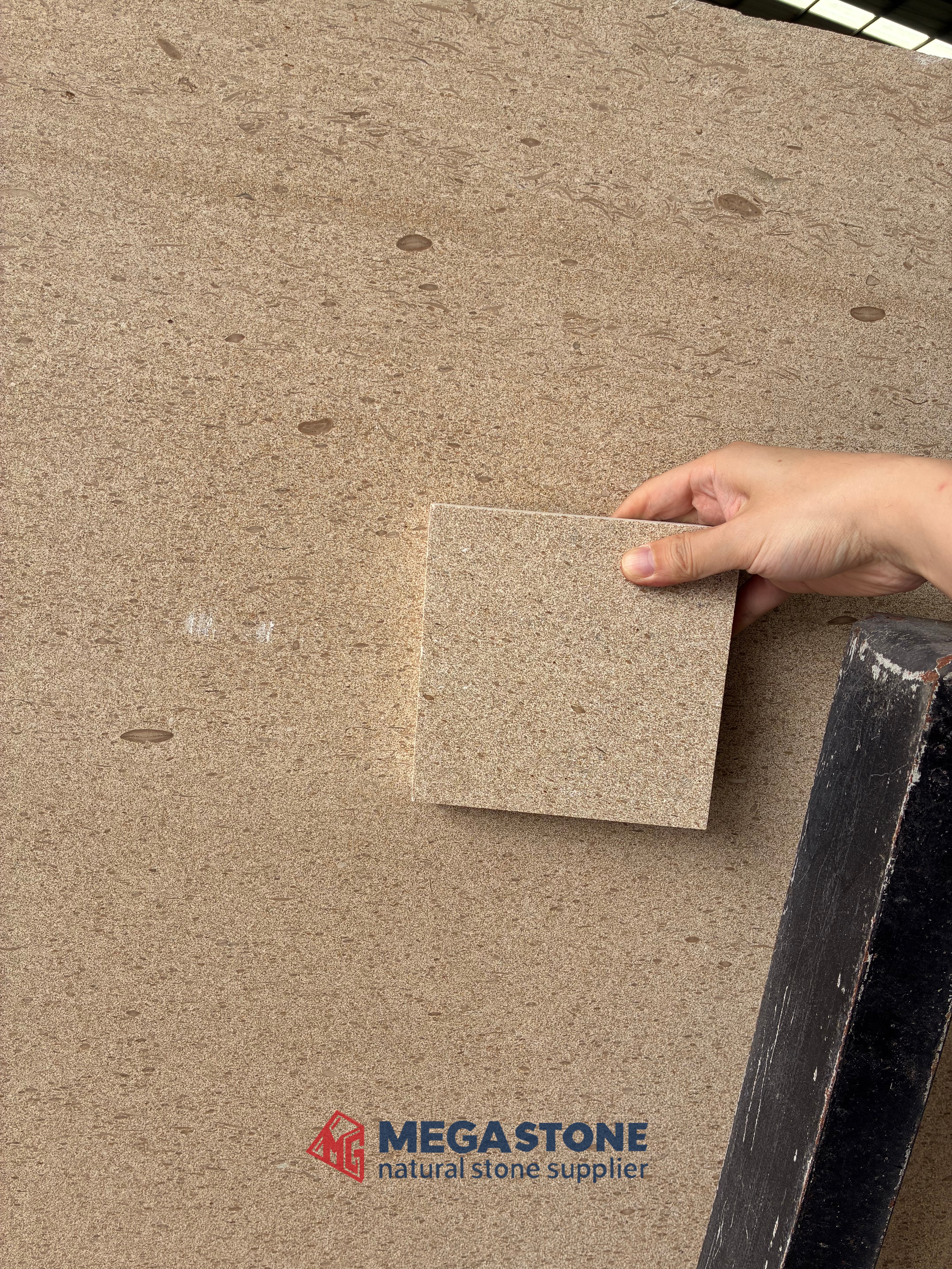 Crema Mocha Limestone Gold Moca Limestone