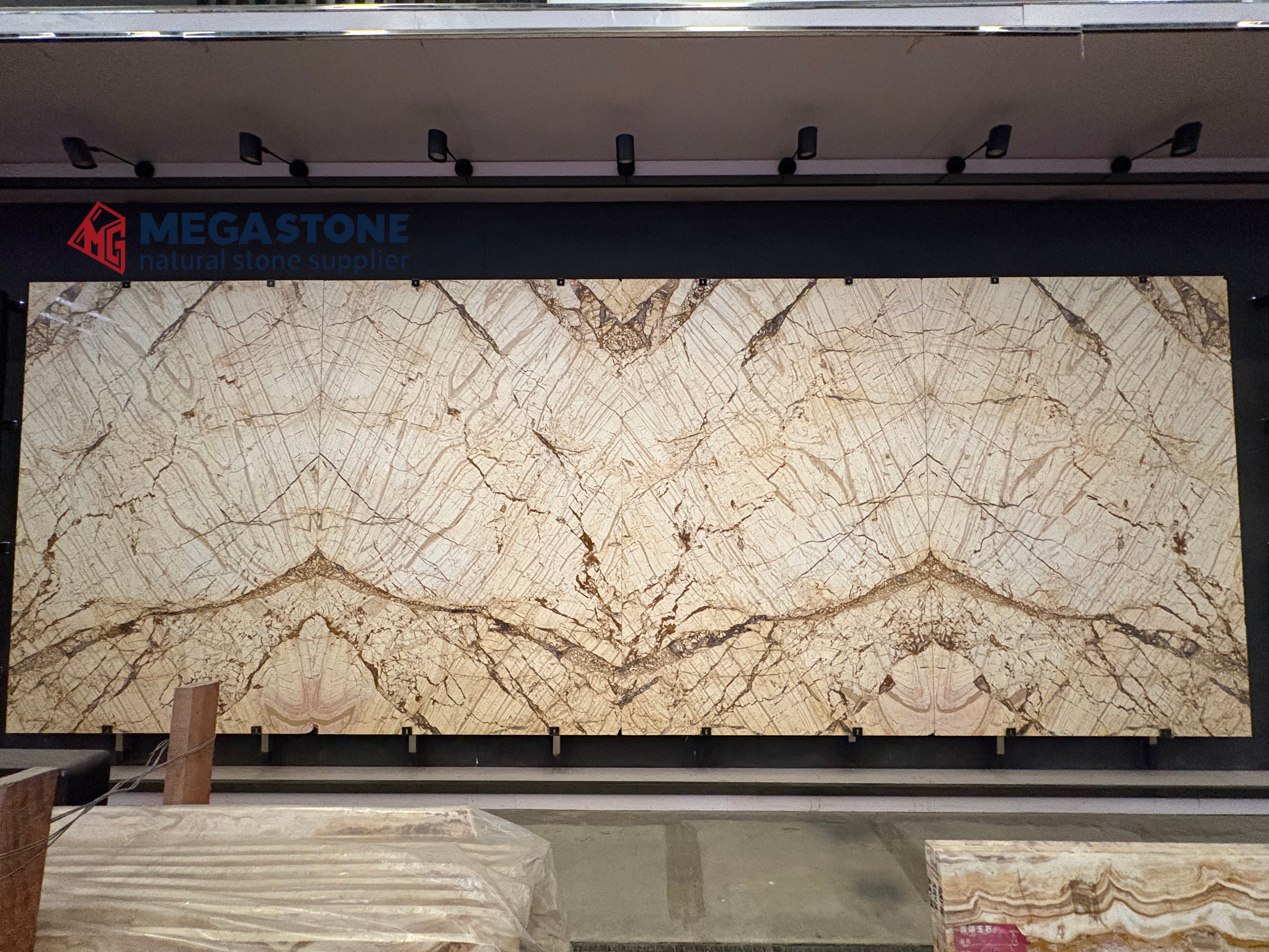 Picasso Gold Marble