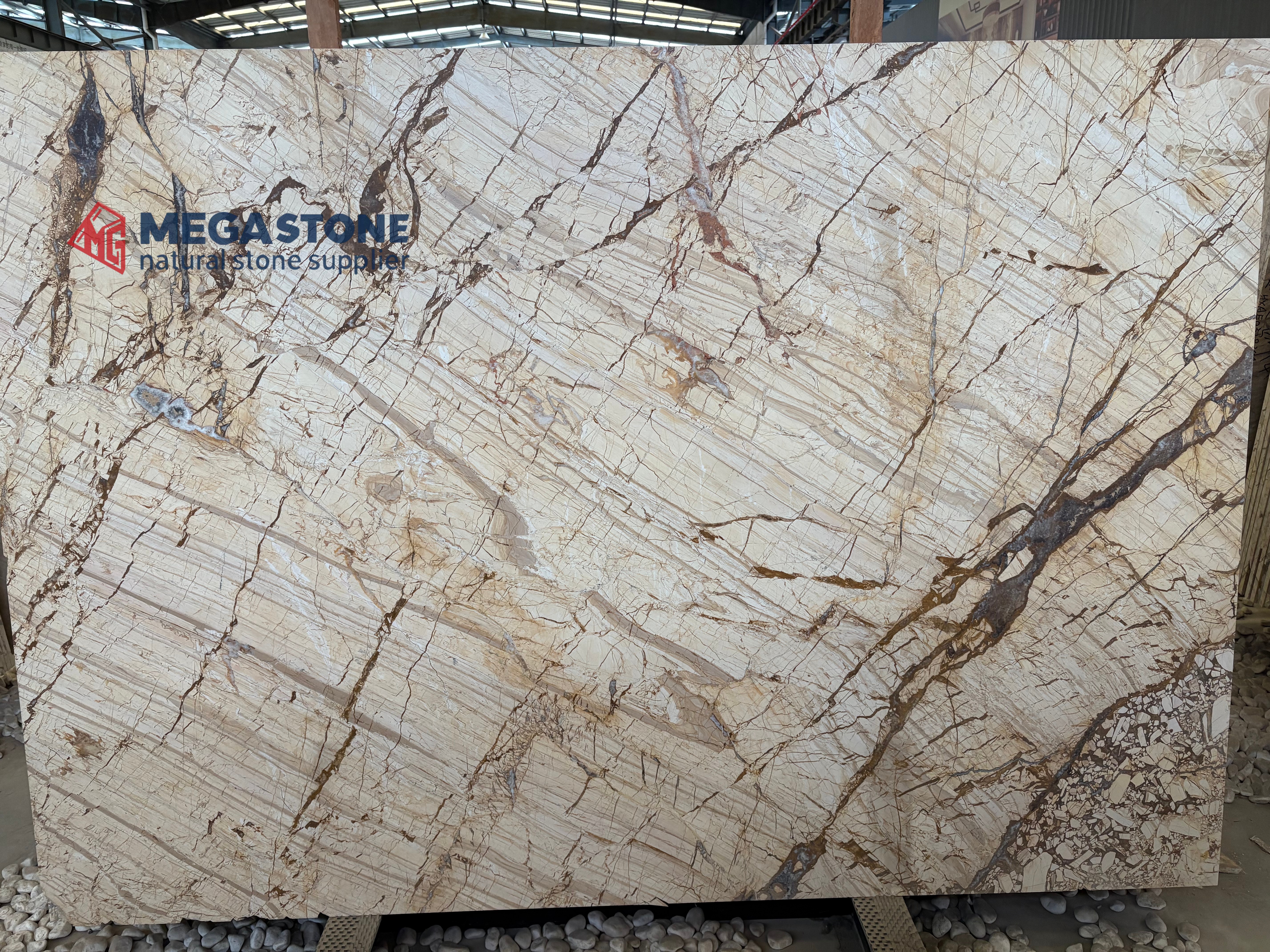 Picasso Gold Marble