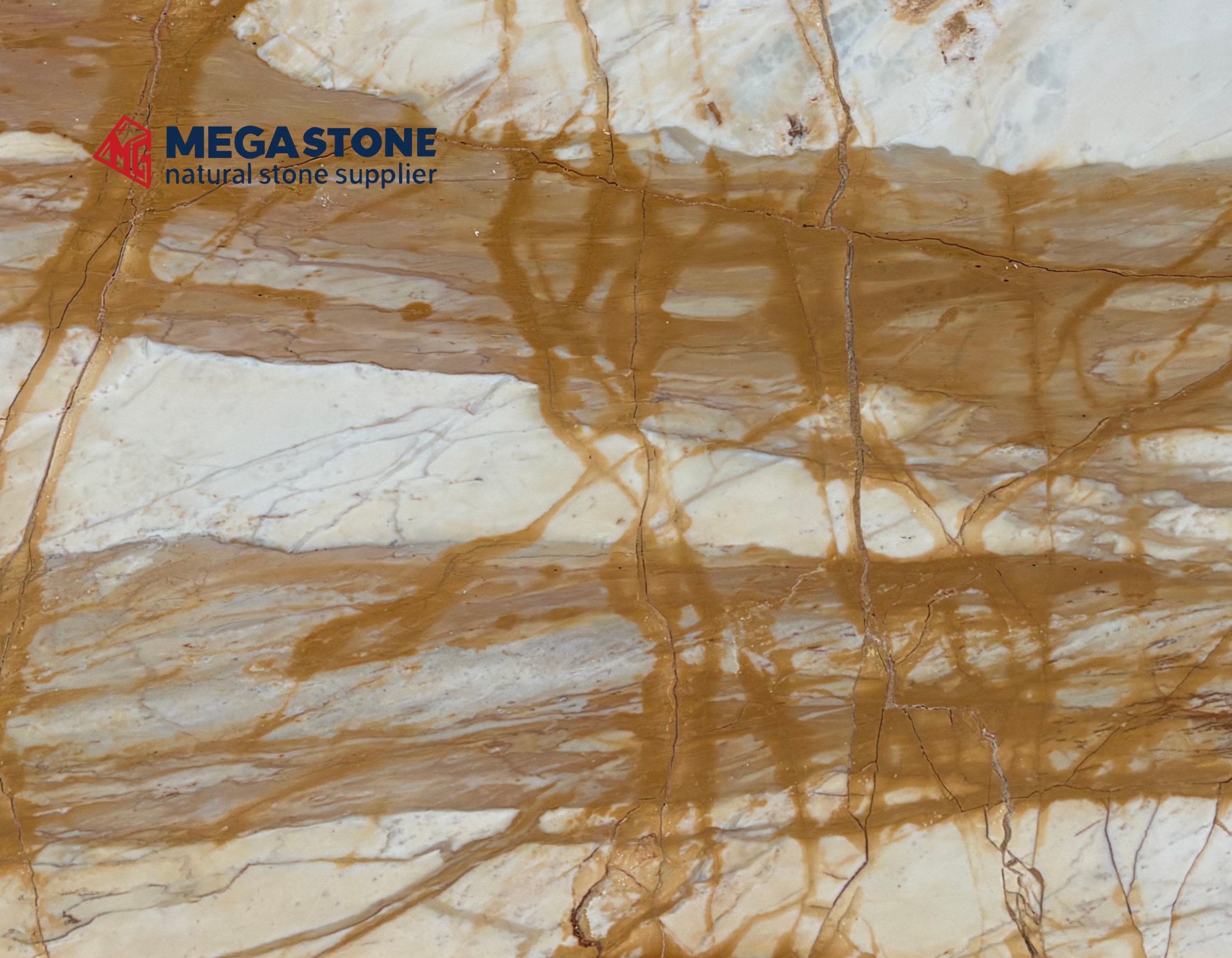 Siena Gold Marble