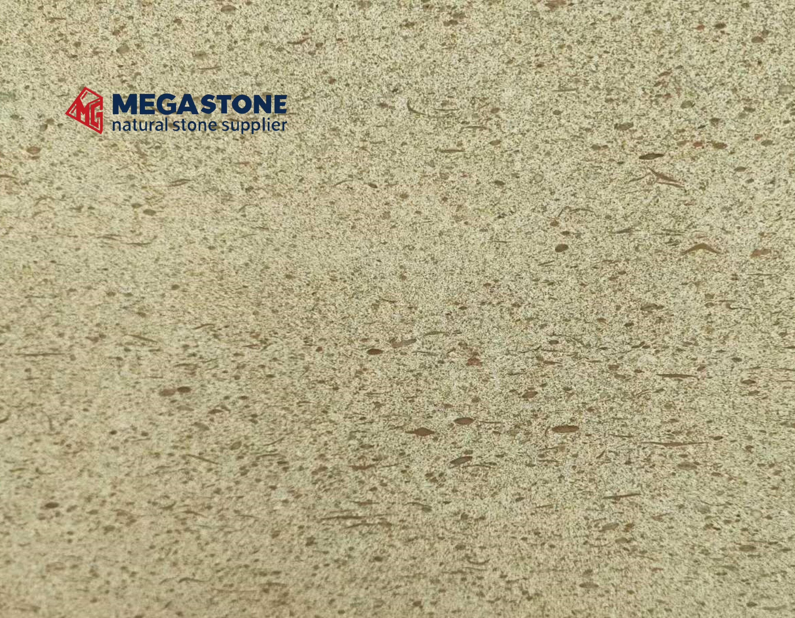 Crema Mocha Limestone Gold Moca Limestone
