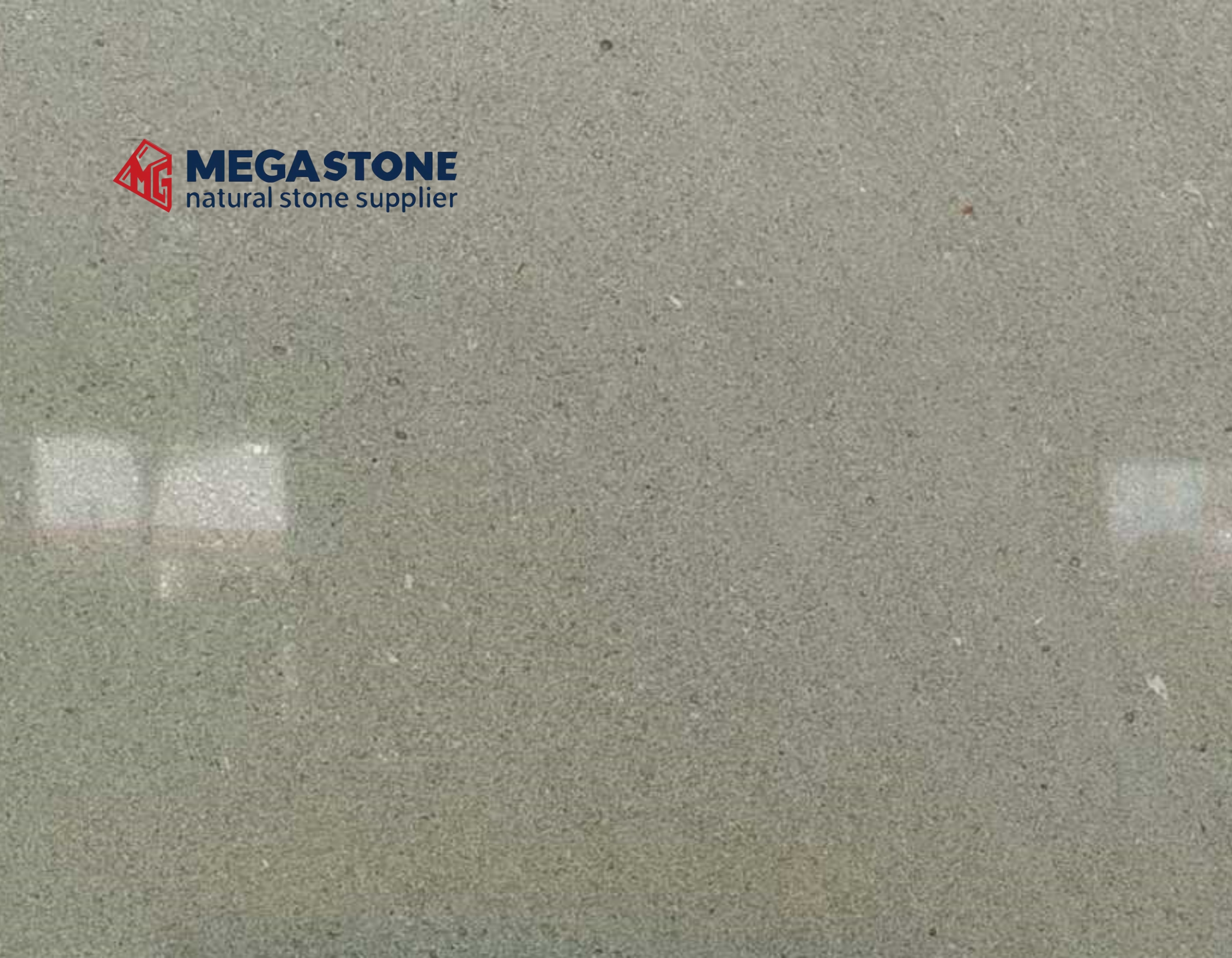 Grey Moca Limestone Moca Silver Limestone