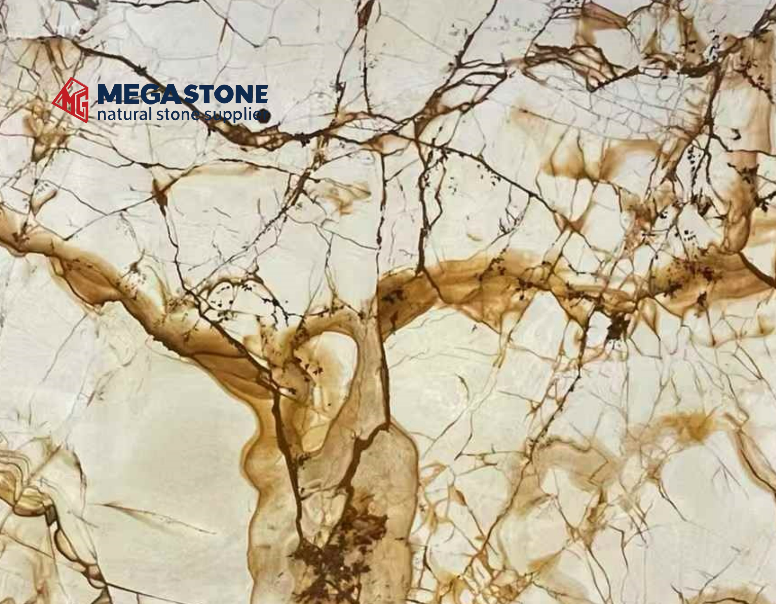 Carpe Diem Quartzite Slab