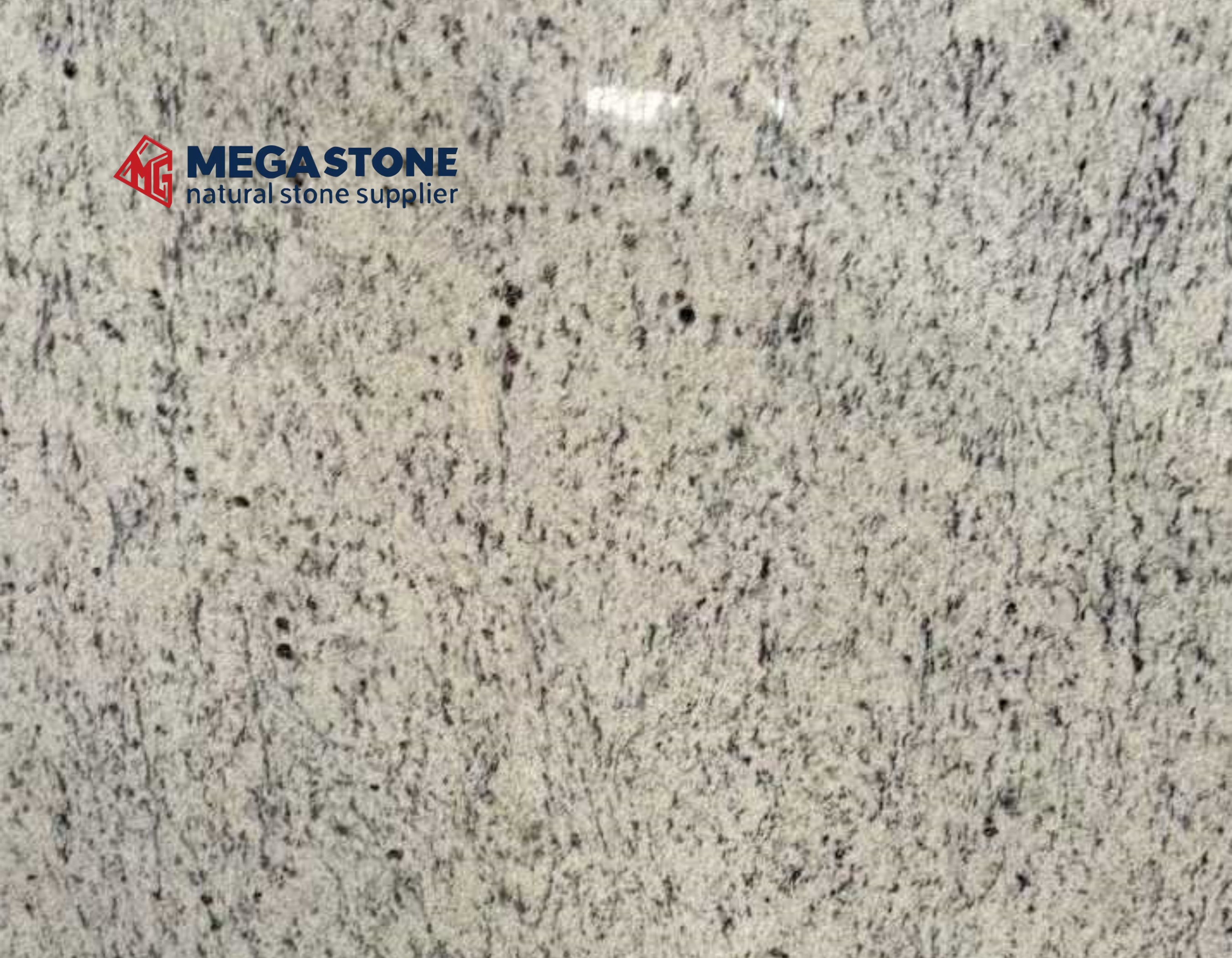 White Ornamental Granite