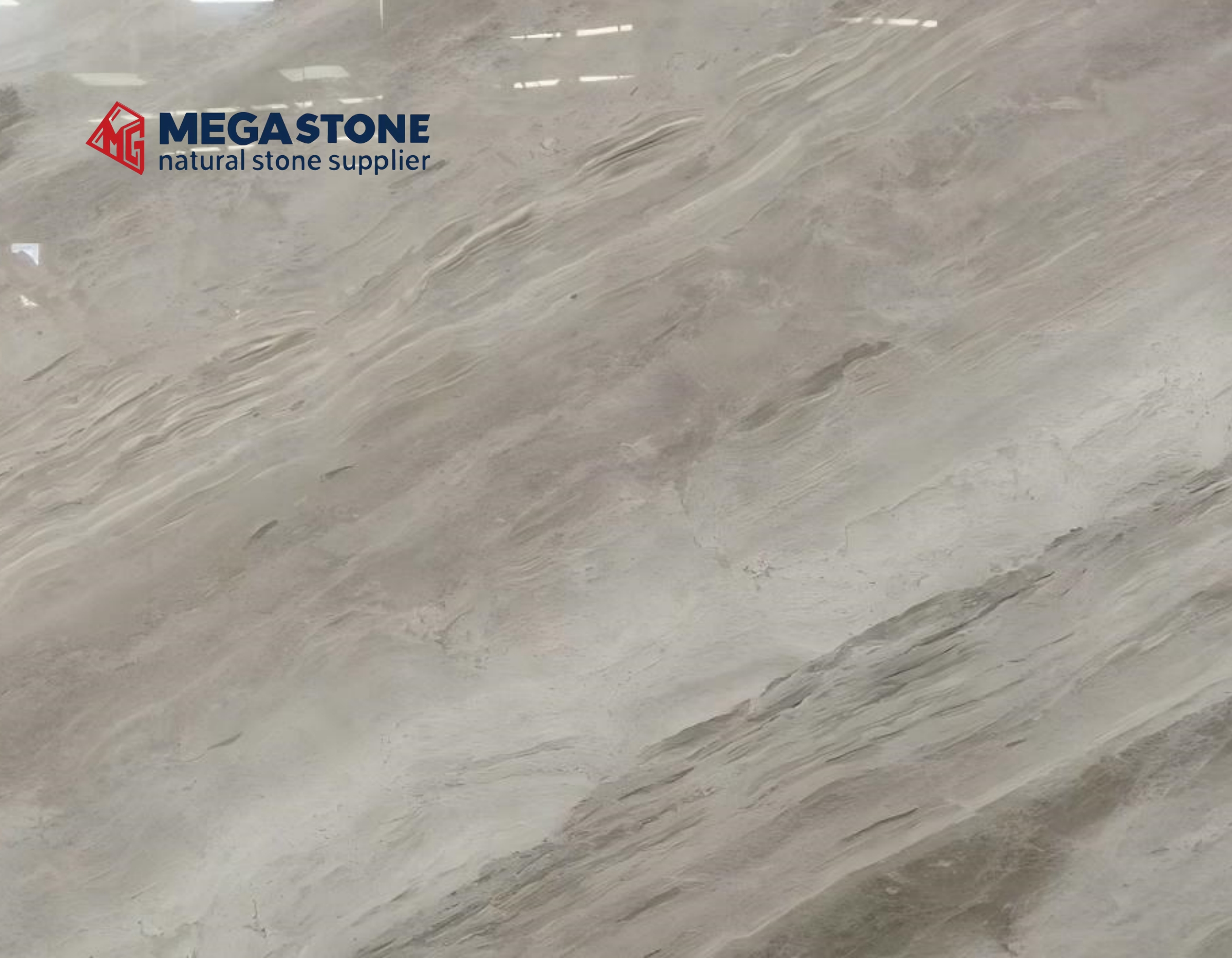 Turkey Diana Royal Marble Silver Diana Marble