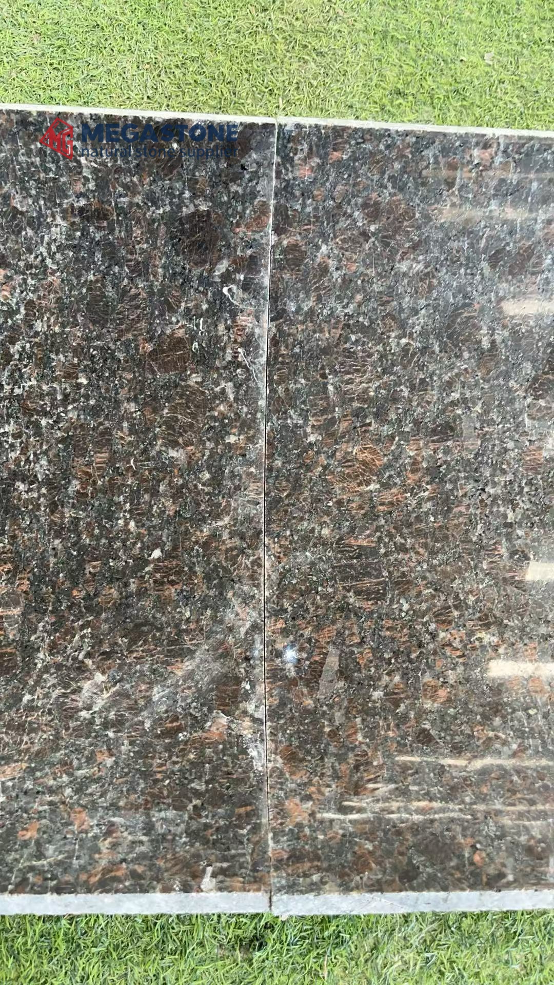 Tan Brown Granite Inner Arc Curved Panel