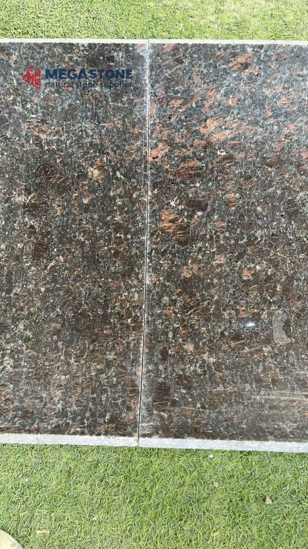 Tan Brown Granite Inner Arc Curved Panel