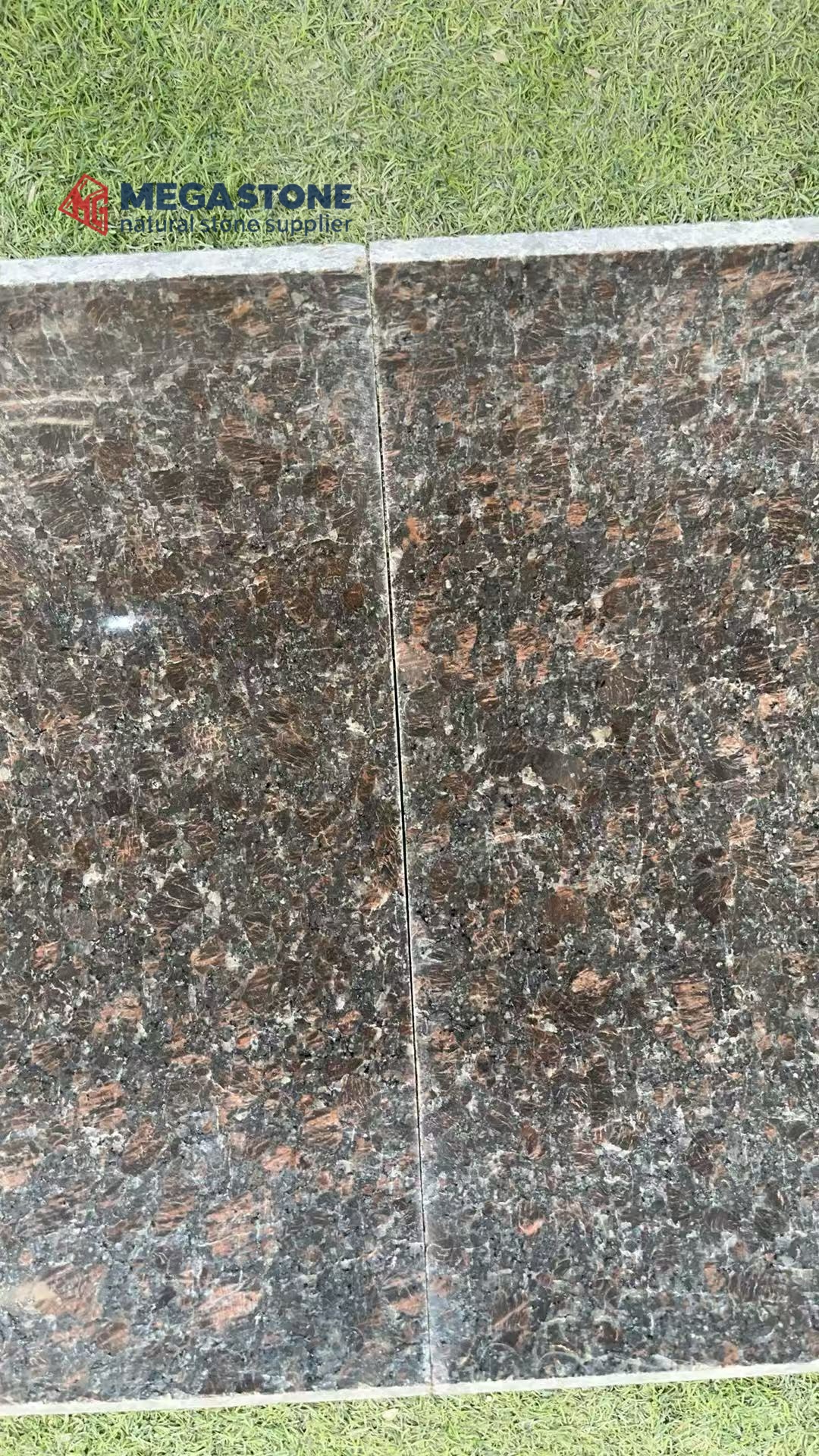Tan Brown Granite Inner Arc Curved Panel