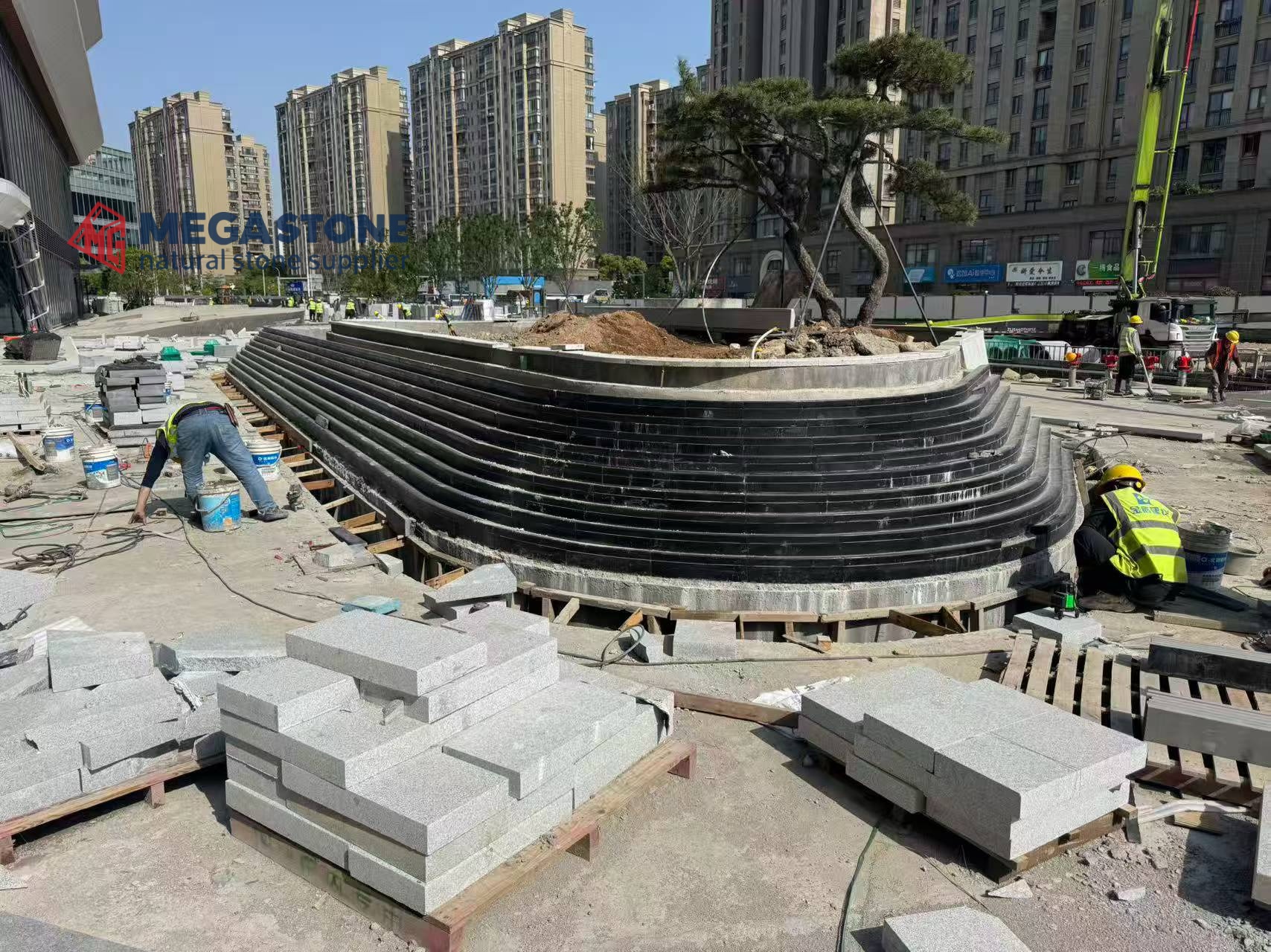 Black Galaxy Granite Polished Lanscape wall cladding
