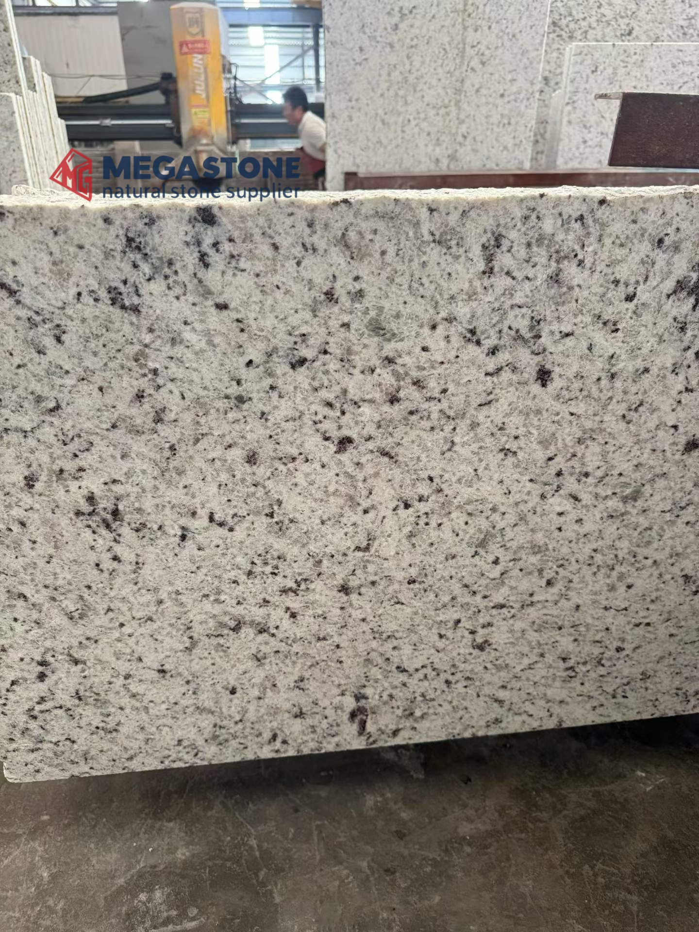 Premium White Ornamental Granite Polished Big Slabs Cut To Size
