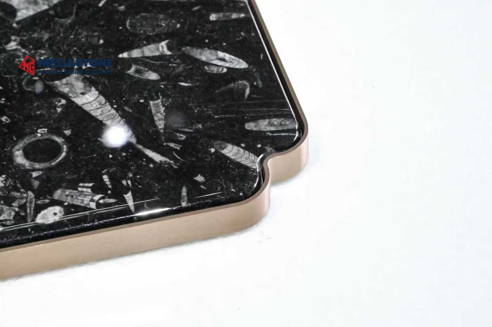 Fossil Black Marble