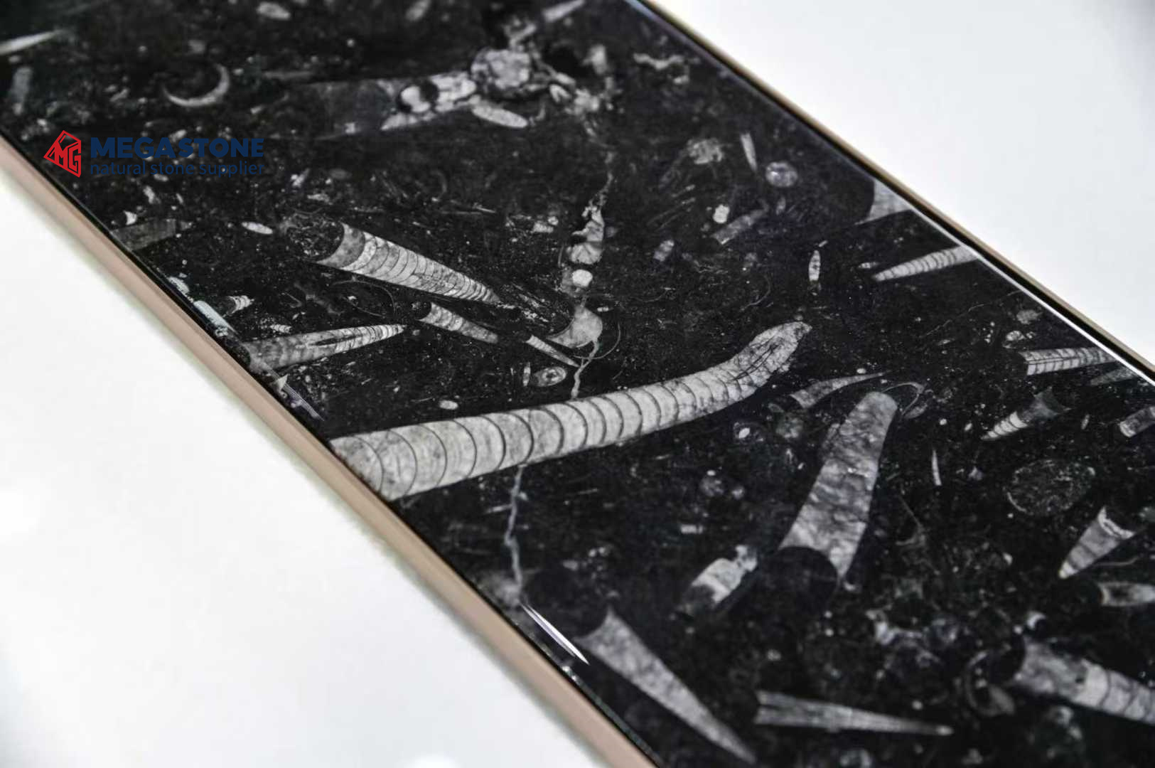 Fossil Black Marble