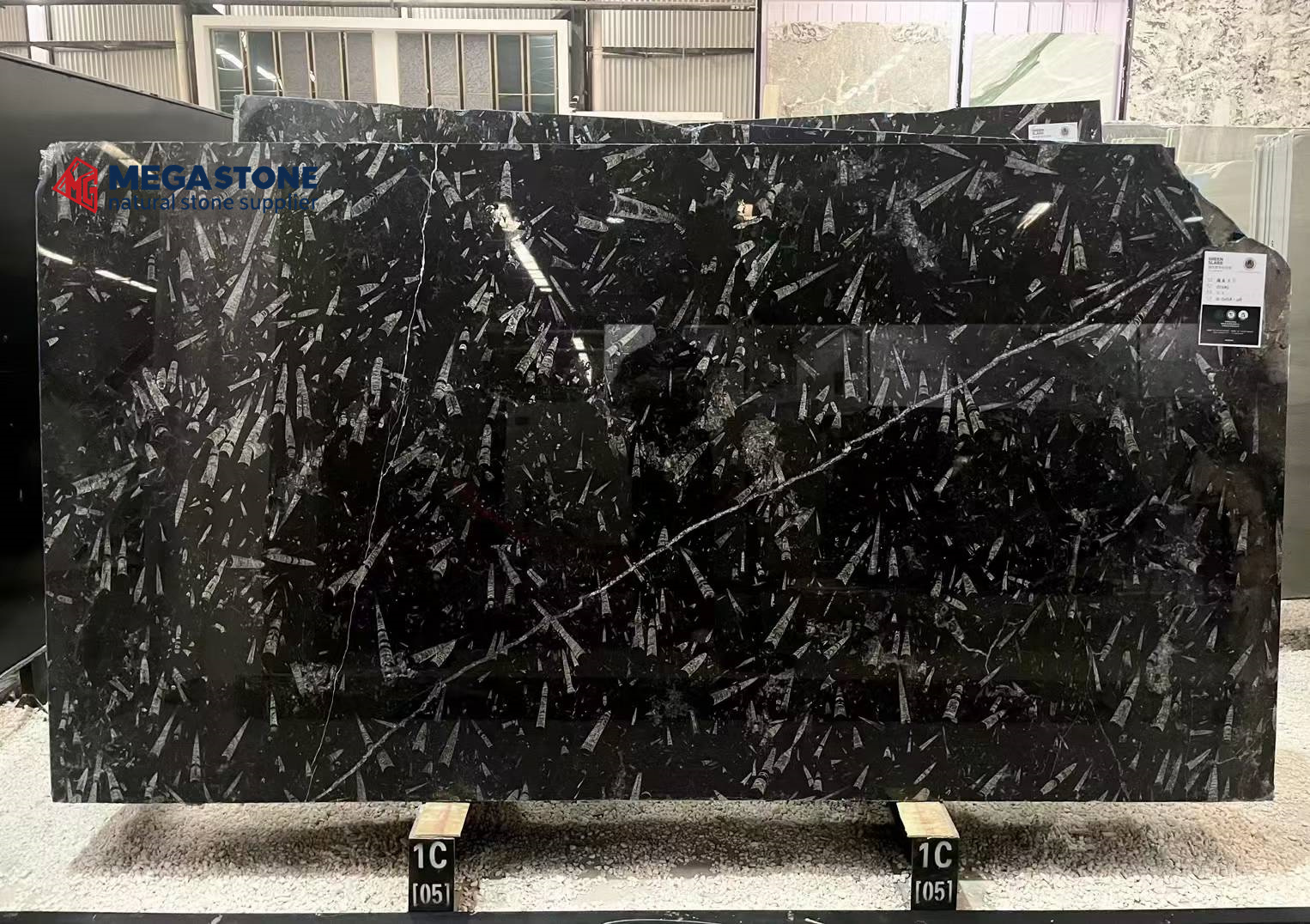 Fossil Black Marble