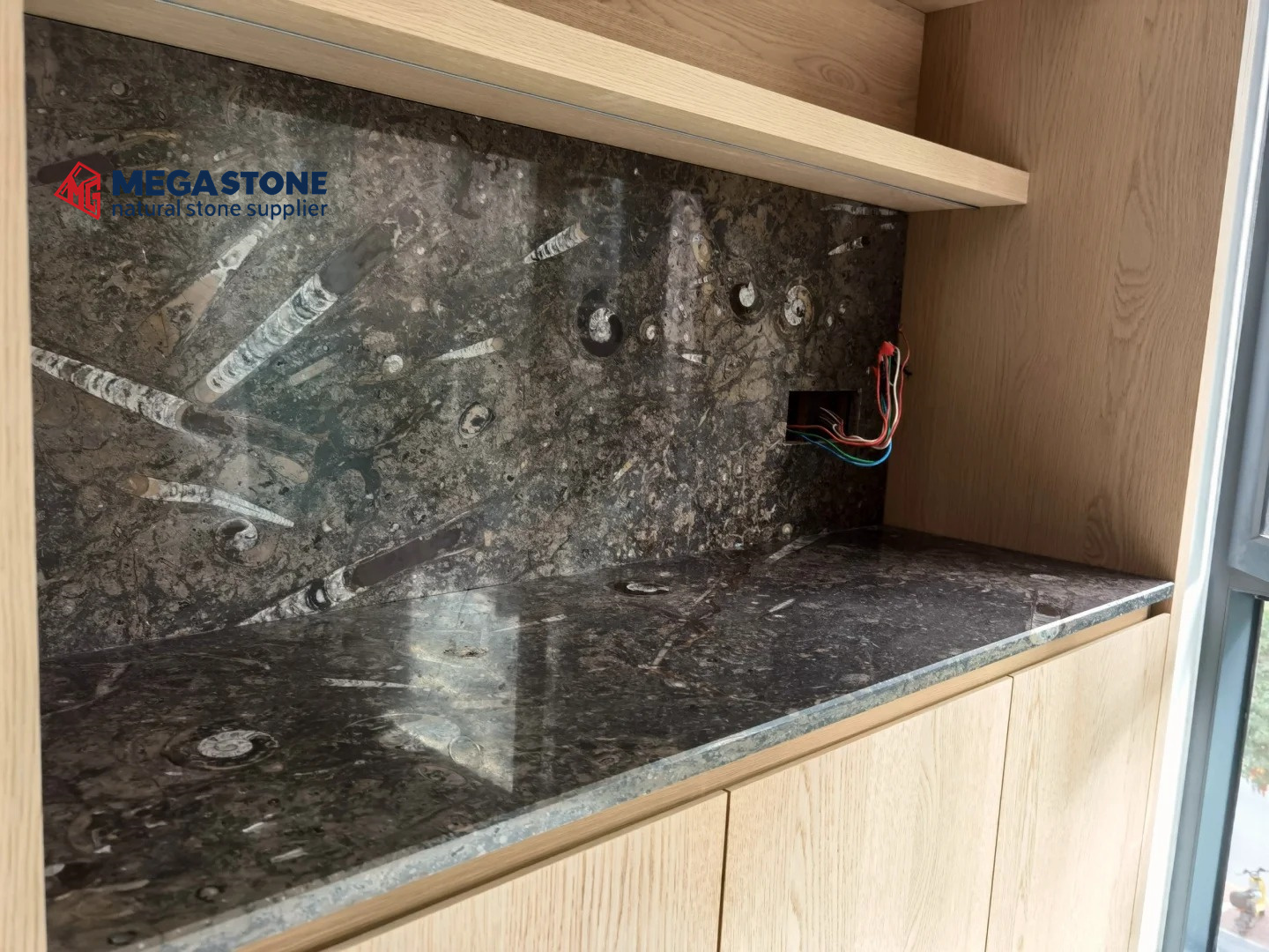 High‑Grade Fossil Black Marble Exporter