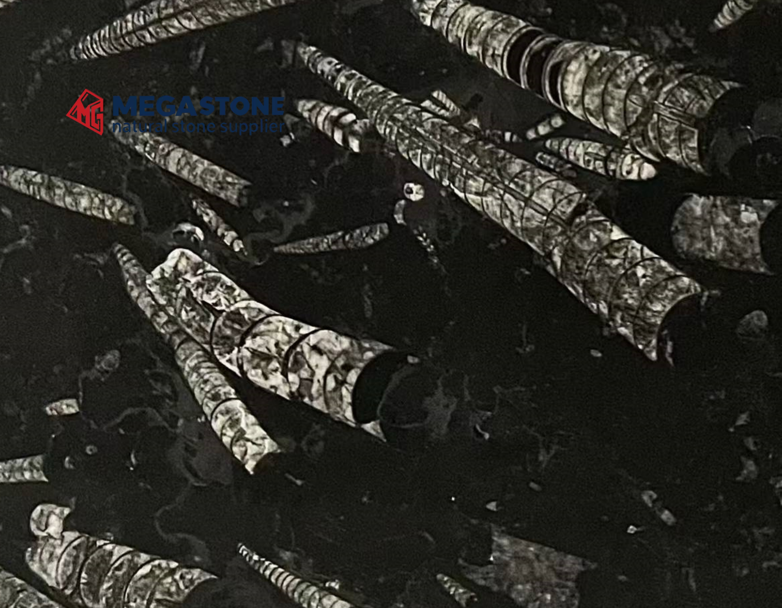 Fossil Black Marble