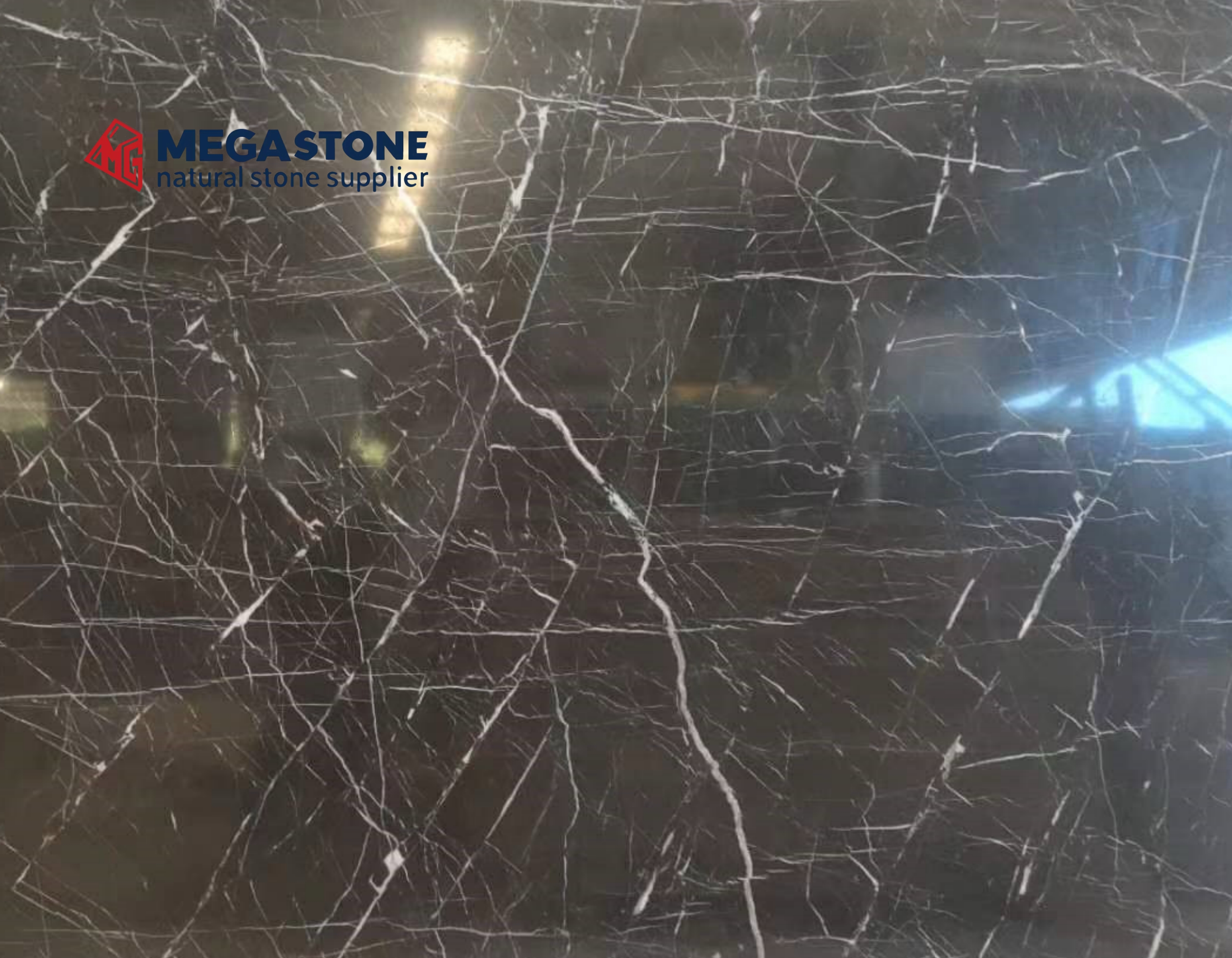 China Nero St Laurent Bown Black Marble
