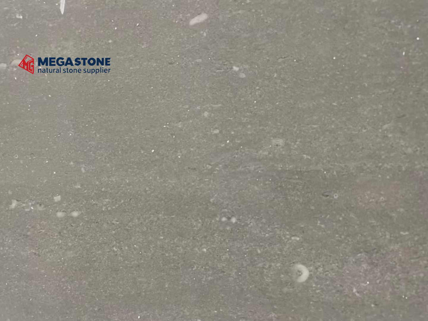 Cinderella Grey Marble