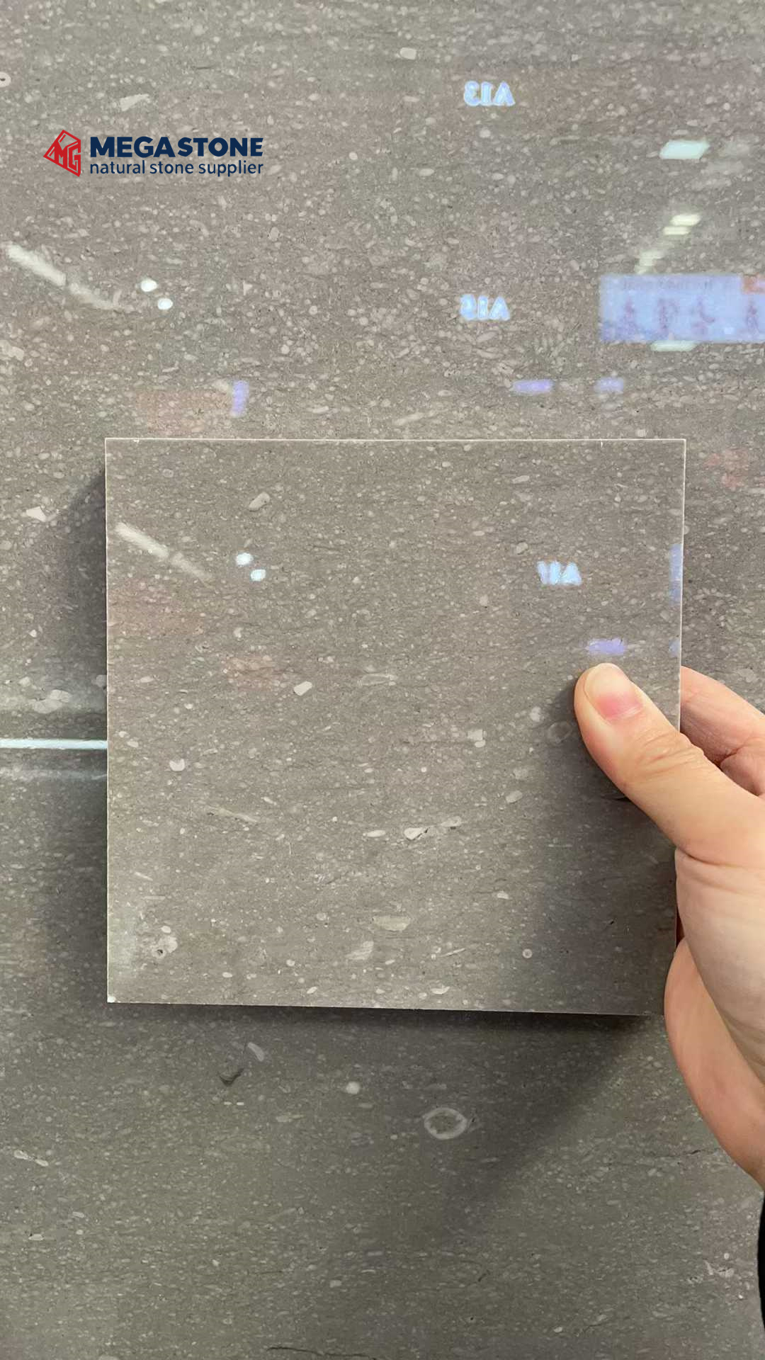 Cinderella Grey Marble