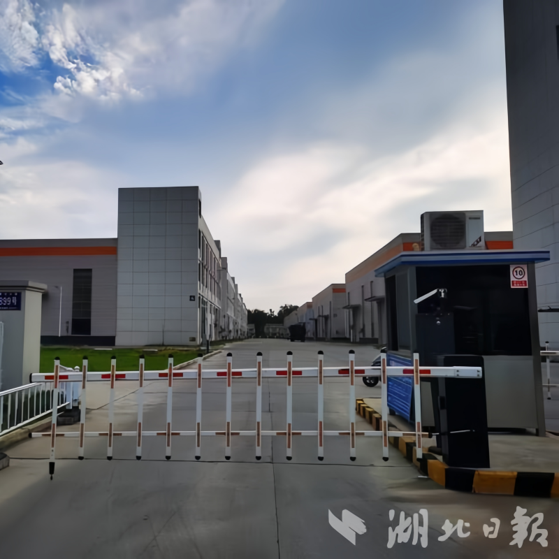 Changyangsheng leverages the "diamond drill" to drive the drill bit market