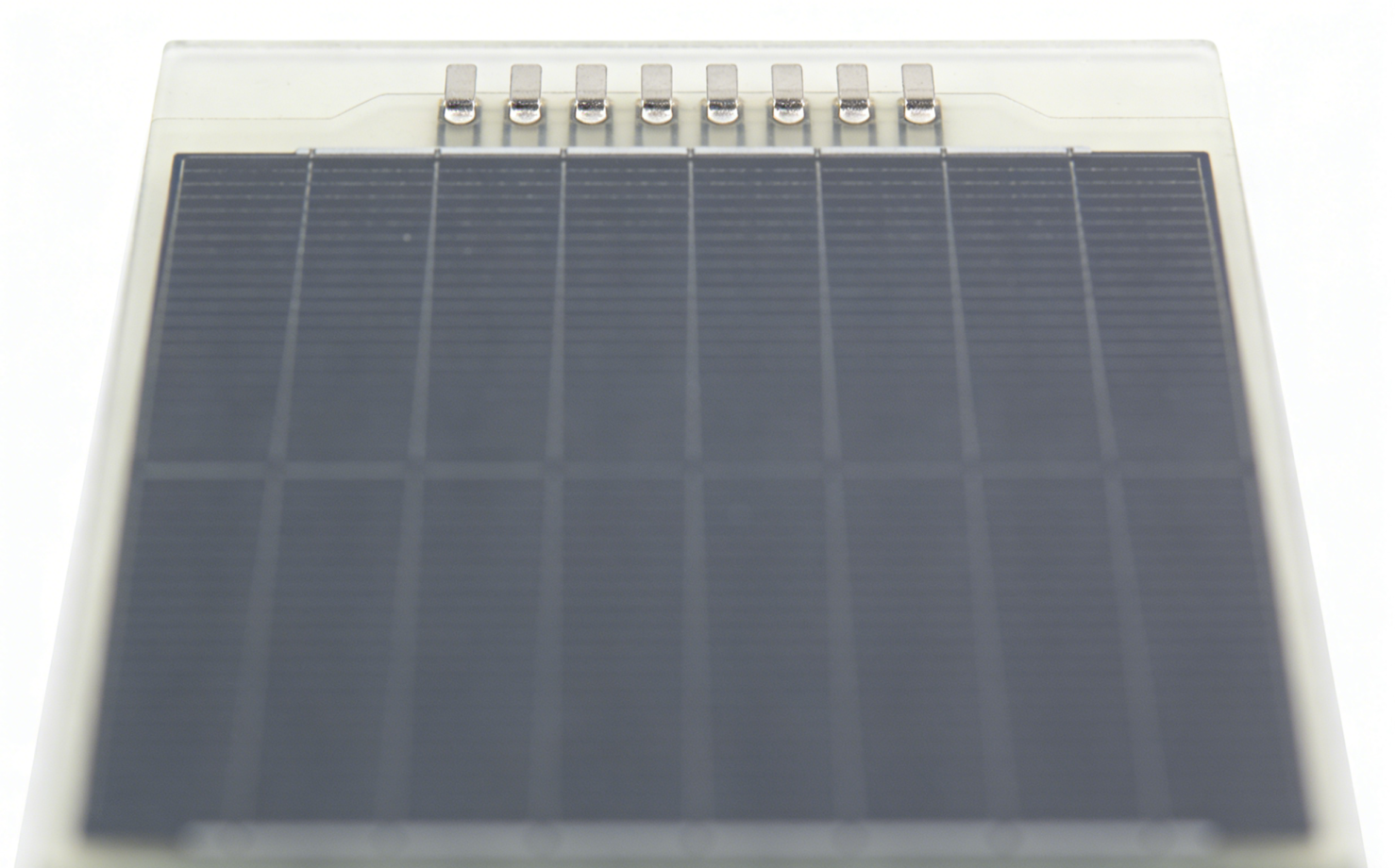 Perovskite Solar Module