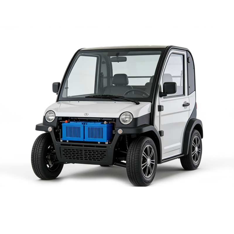 EVO ODM Battery Pack for Low Speed Vehicle