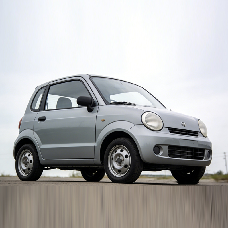 EVO ODM Battery Pack for Low Speed Vehicle