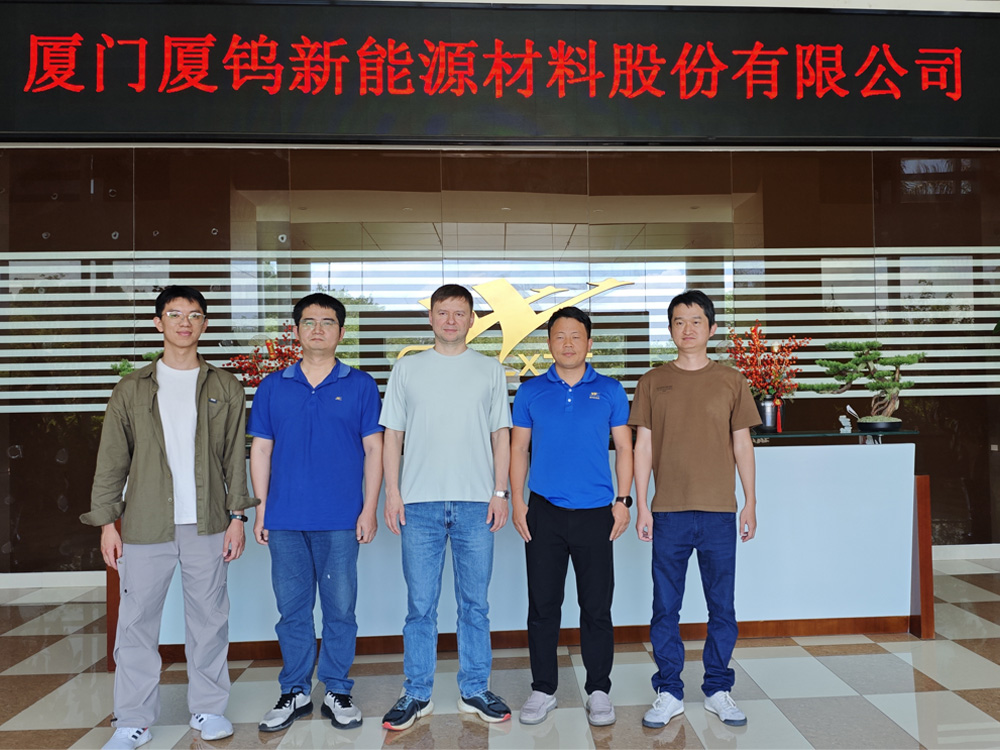 Well-known BRICS Company Visits Evolisun for Cooperation Talks in New Energy Field