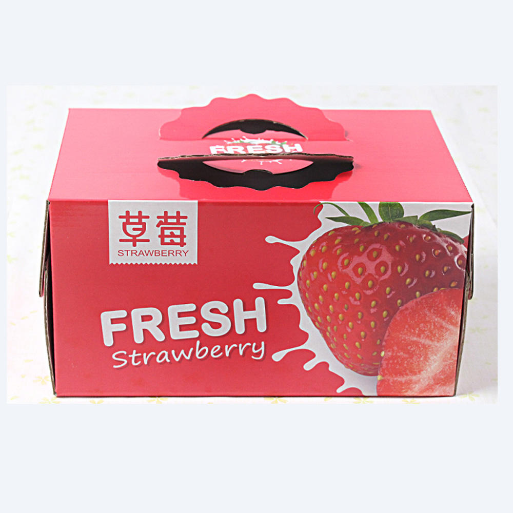 Customizable Rectangular Cartons Self Erecting Gift Boxes for Convenient Carrying
