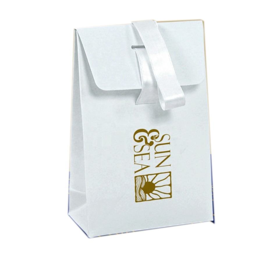 Gift Paper Bag Luxury Clothing Packaging Paper Bag Custom logo Jewelry Paper Bag with Ribon