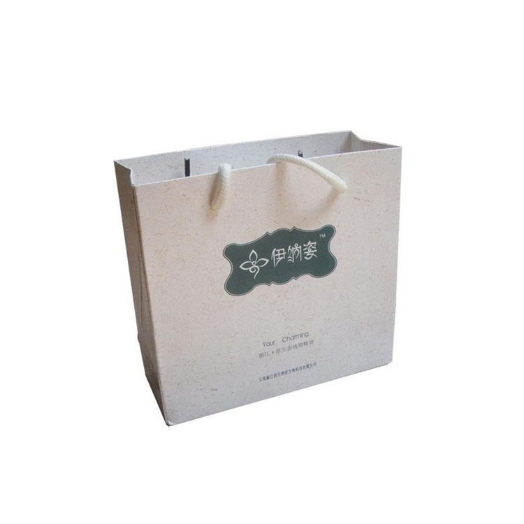 Gift Paper Bag Luxury Clothing Packaging Paper Bag Custom logo Jewelry Paper Bag with Ribon