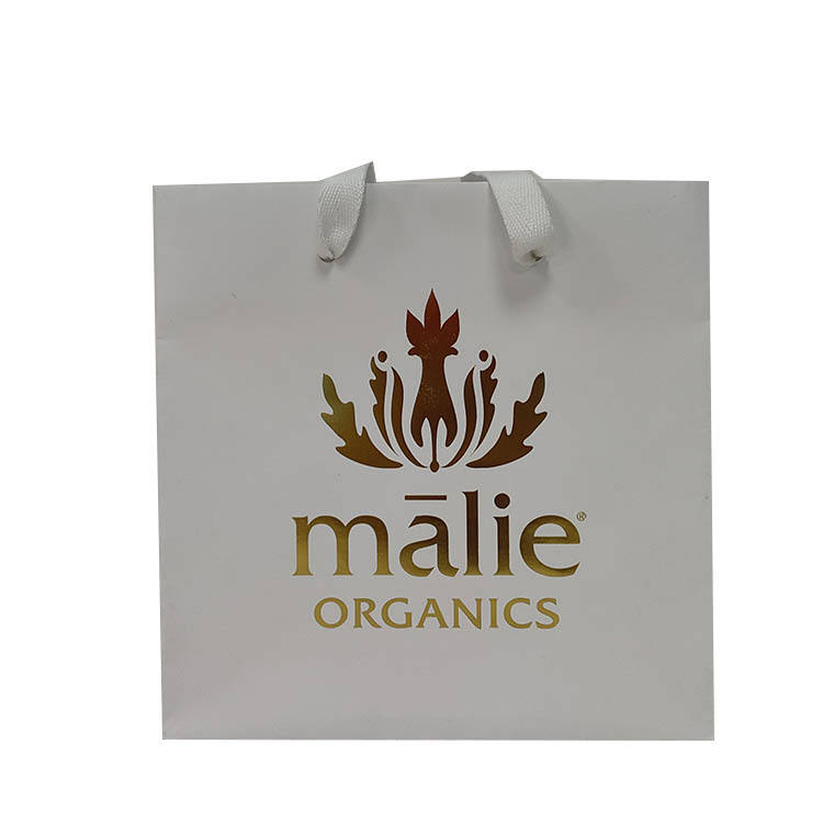 Customized Printed Logo Kraft Paper Bag for Crafts Promotion Including Ribbon