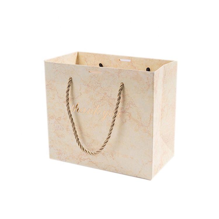 Luxury Custom Logo Printing Paper Carry Bag Shopping Gift Bag