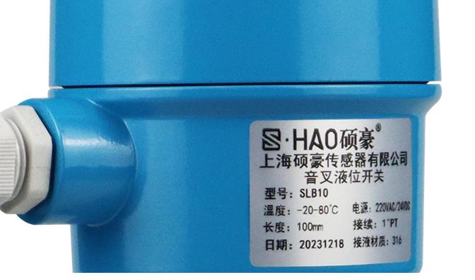 SLB Tuning Fork Level Switch