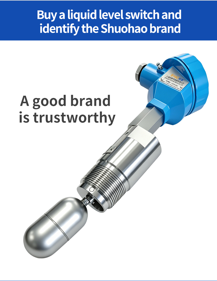 Float Ball Level Switch