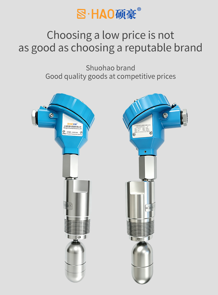Side Mounted Float Level Switch
