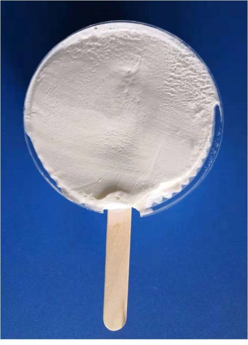 2019 New extruded ice cream developed by Tian Yi Food Tech.