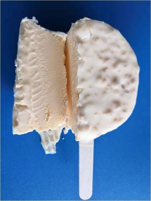 2019 New extruded ice cream developed by Tian Yi Food Tech.