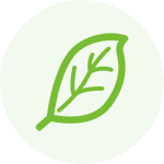 Strong Focus on Health and Wellness