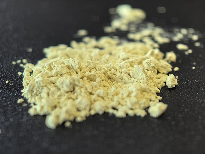 Isoquercitrin CAS 21637-25-2
