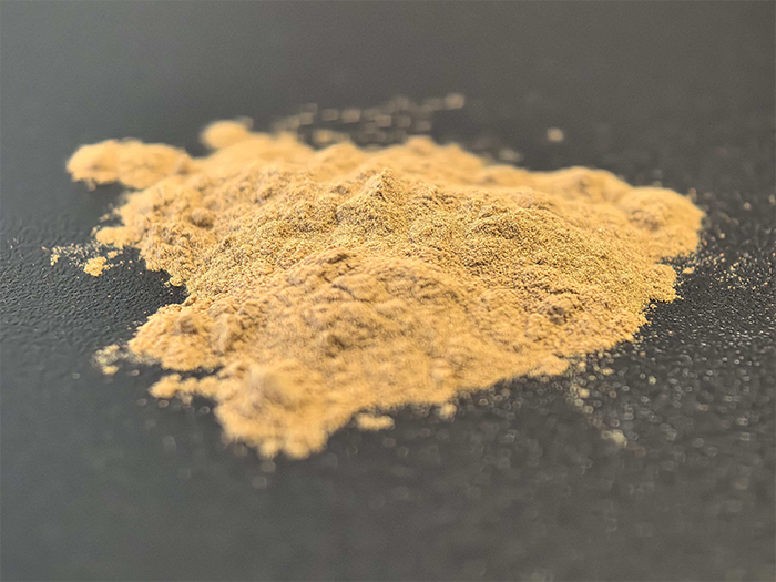 Ginkgo biloba extract CAS 90045-36-6