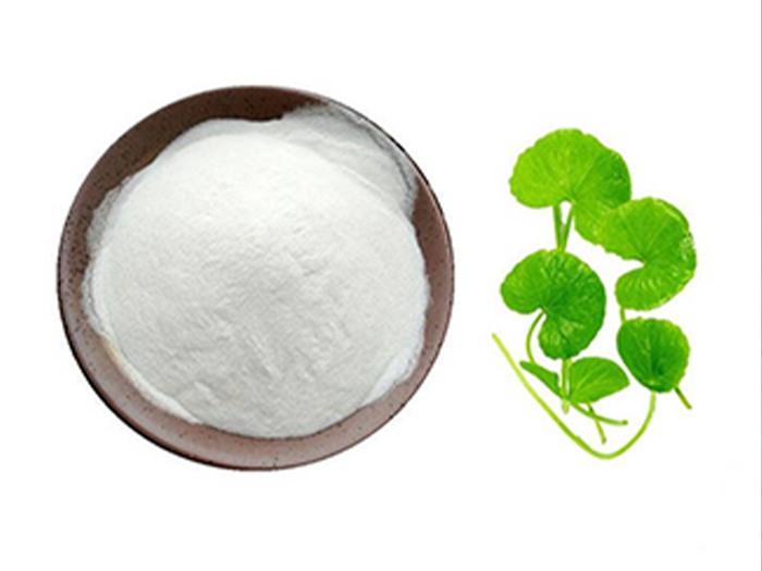 Centella Asiatica Extract CAS 84696-21-9