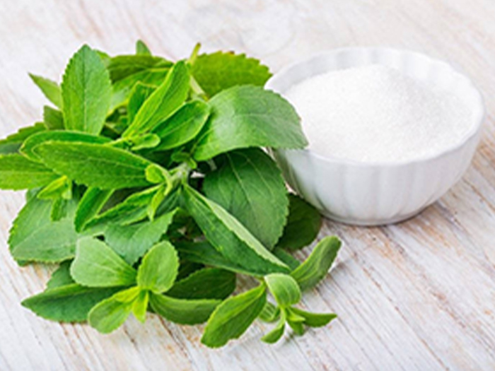 Stevia Extract CAS 91722-21-3