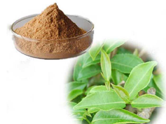 Green Tea Extract