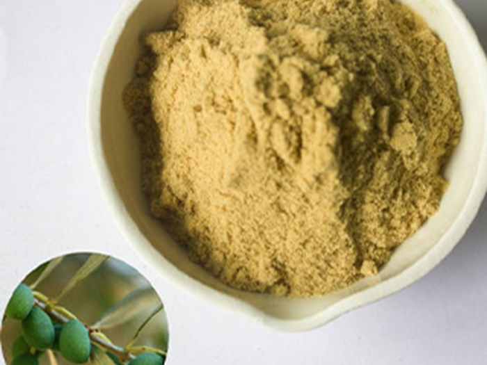 Olive Leaf Extract