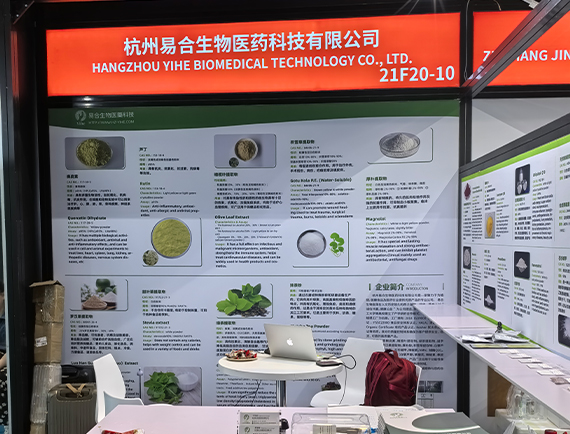 Hi & Fi Asia-China 2024