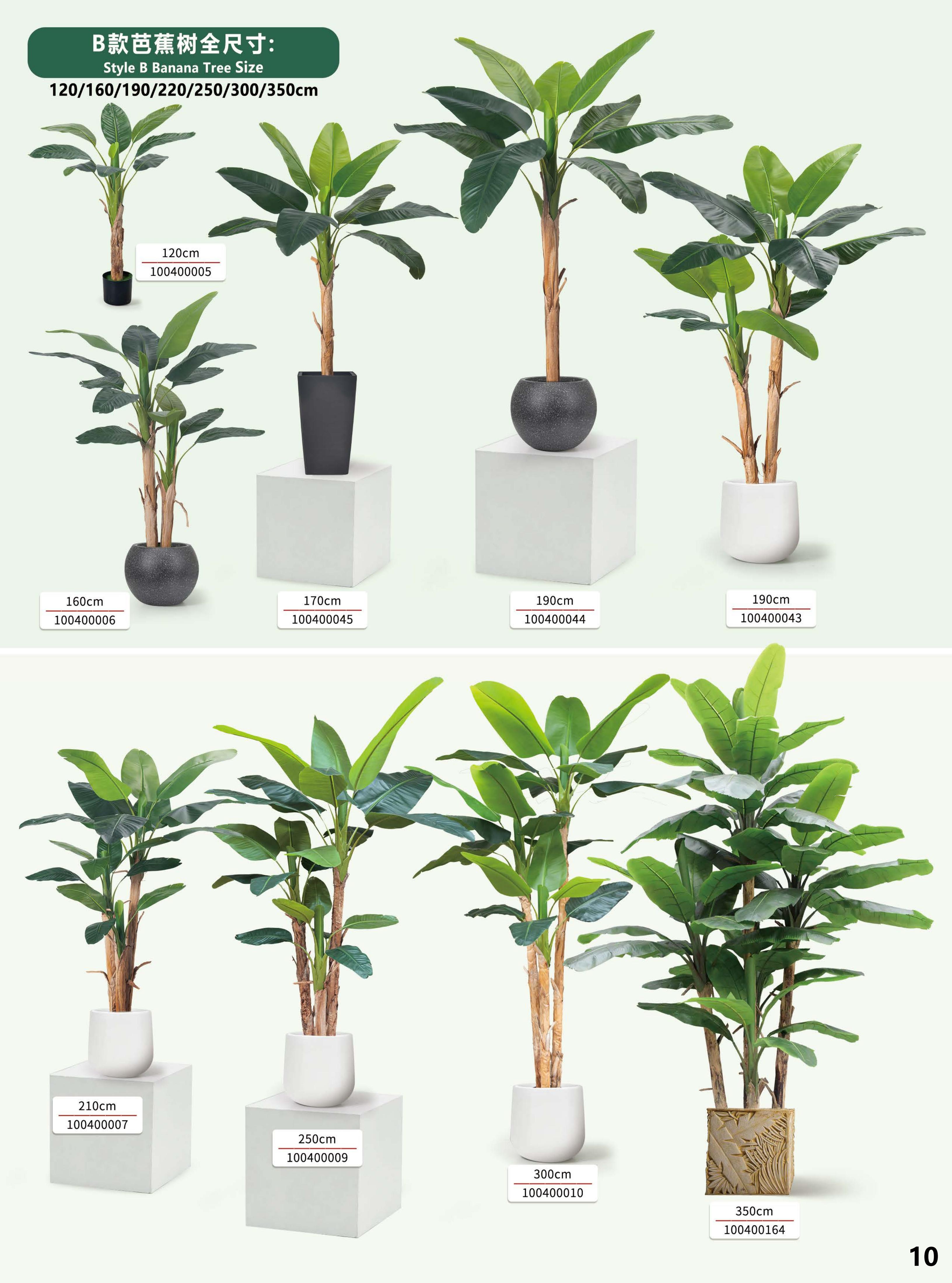 Customizable Indoor Plants for Hotel Projects Customizable Indoor Plants for Hotel Projects